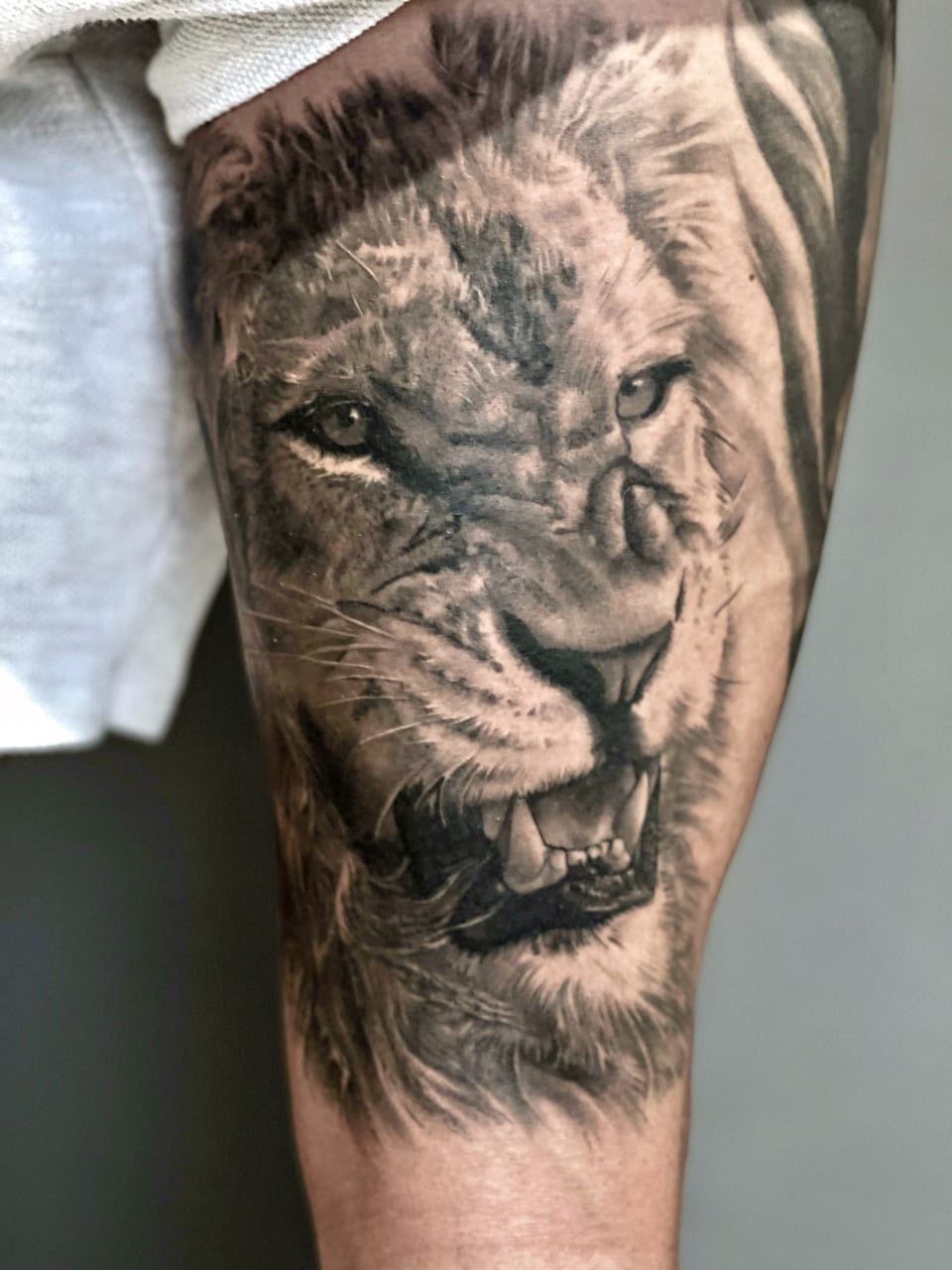A black and grey realism snarling lion face covers an upper arm.