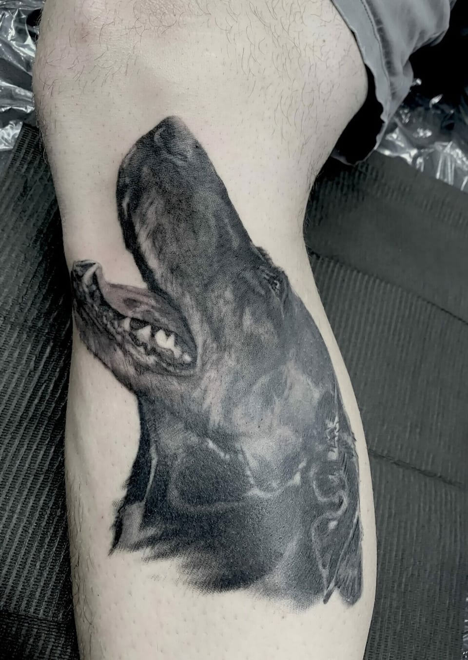 A black and grey realism canine tilts its head back with an open mouth on a thigh.